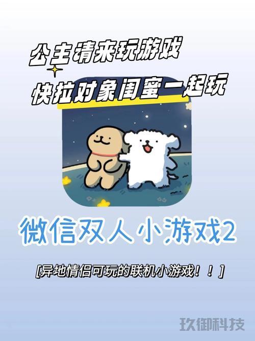 微信双人小游戏小程序的魅力与玩法探讨
