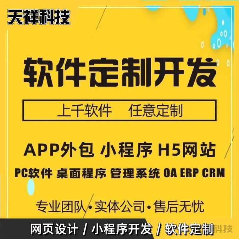 石家庄专业软件开发外包-石家庄做软件的公司